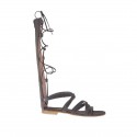 Woman's gladiator open shoe with zipper and laces in dark brown leather heel 1