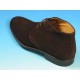 Polacco -  